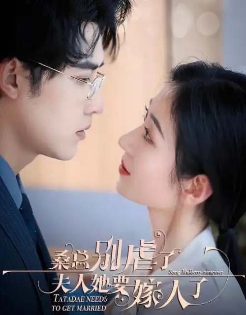 长巷人家热播电视剧全集免费观看